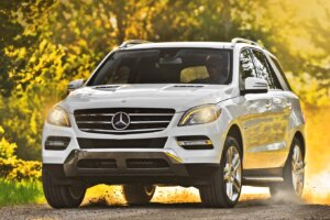 Image of Mercedes Benz M Class